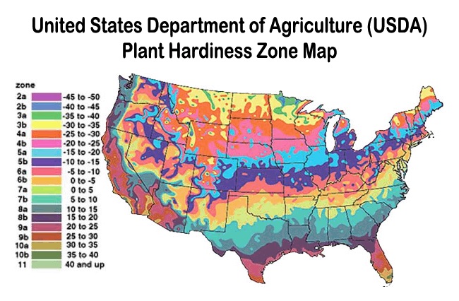 Selecting Ornamental Landscape Plants - Hardiness - from PlantsGalore.Com