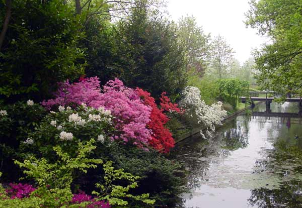    ...! Keukenhof-1001.jpg