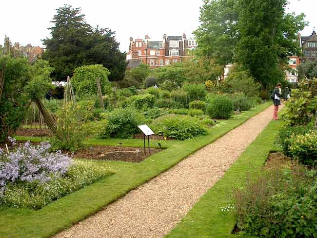 Chelsea Psychic Garden