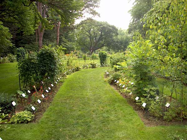 Beal Botanical Gardens At Michigan State University Usa