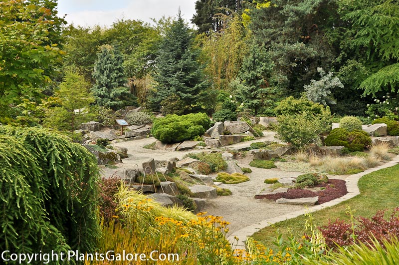 Bellevue Botanical Garden Usa Gardens Parks Squares And Open