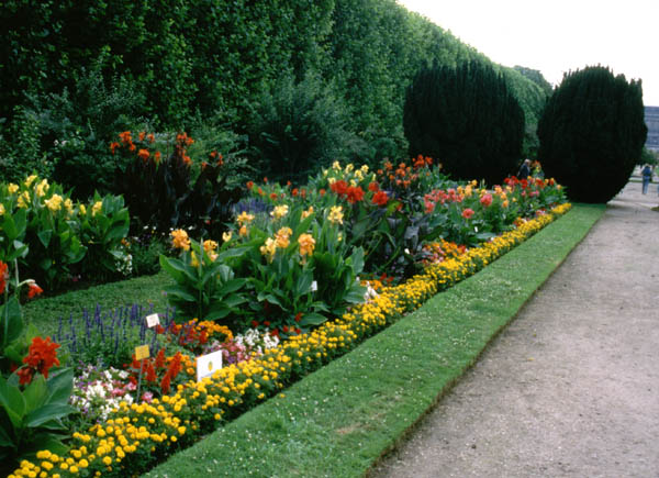 Outdoor Gardens