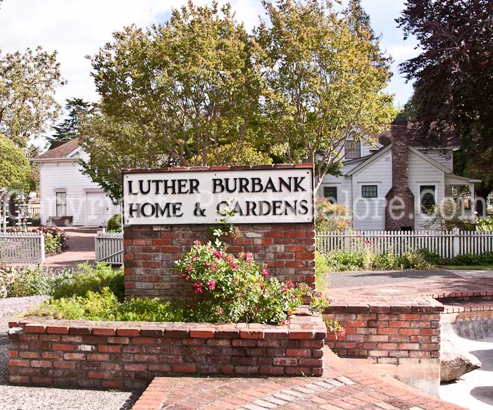 Luther Burbank House And Garden Usa Gardens Parks Squares