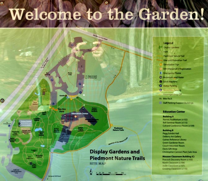North Carolina Botanical Garden Usa Gardens Parks Squares