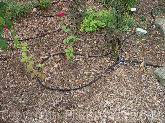 PGC-H-Equipment-Irrigation-6