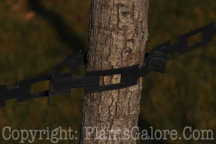 PGC-H-Equipment-Staking-22