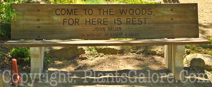 PGC-H-Furniture-Wood-106