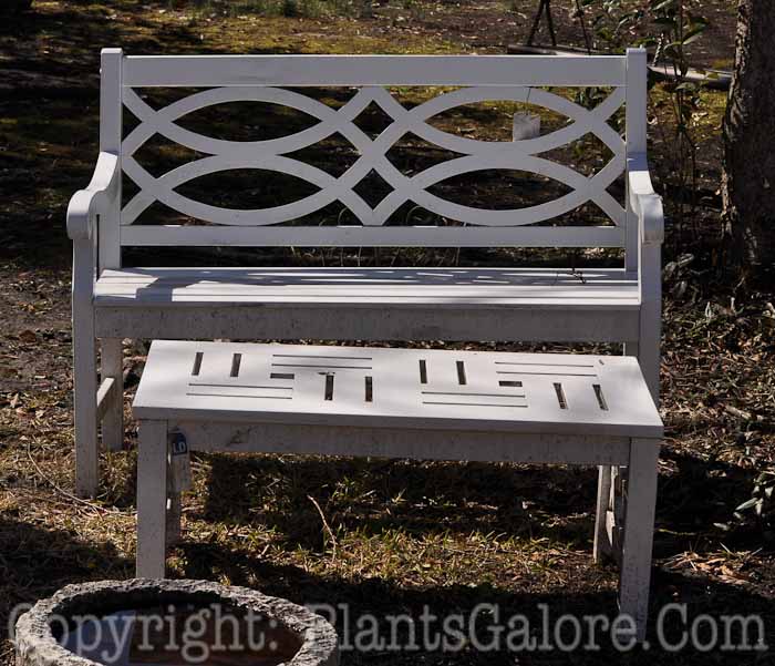 PGC-H-Furniture-Wood-115