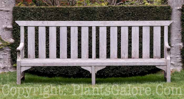 PGC-H-Furniture-Wood-118