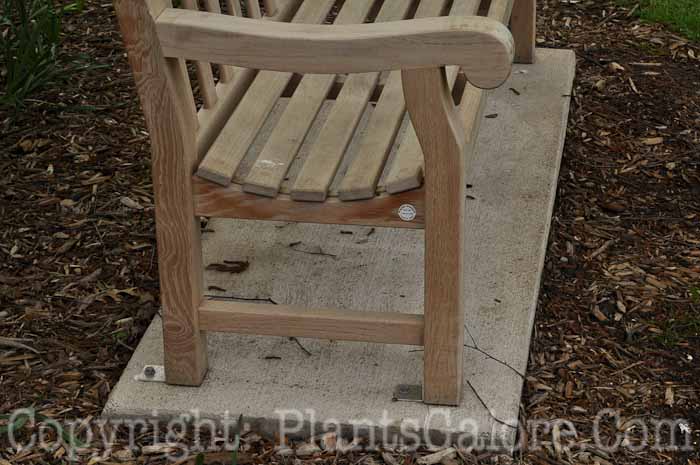 PGC-H-Furniture-Wood-124