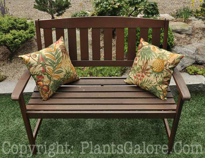PGC-H-Furniture-Wood-126