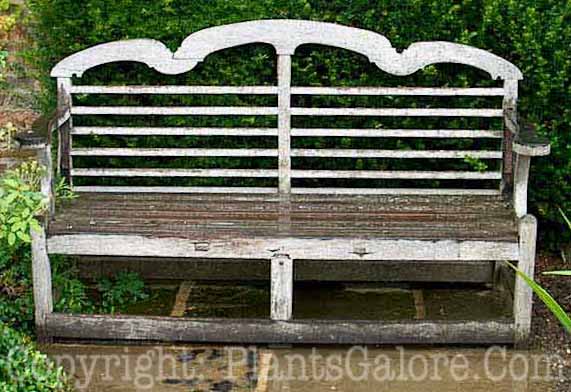 PGC-H-Furniture-Wood-58