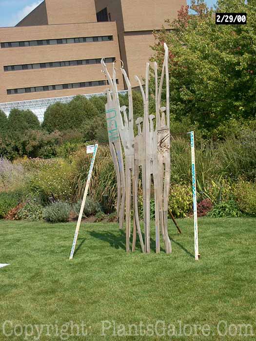 PGC-H-Statuary-Abstract-32
