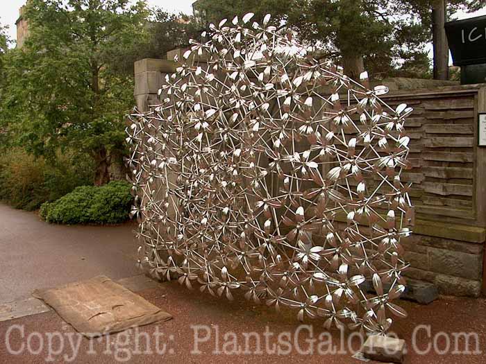PGC-H-Statuary-Abstract-36