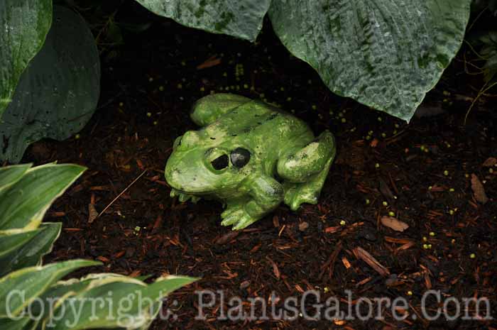 PGC-H-Statuary-Animal-34