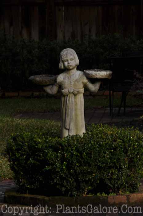PGC-H-Statuary-Human-108