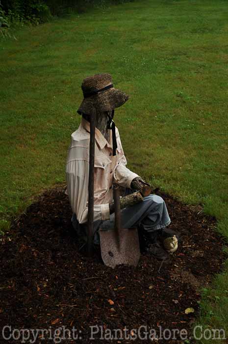 PGC-H-Statuary-Human-31