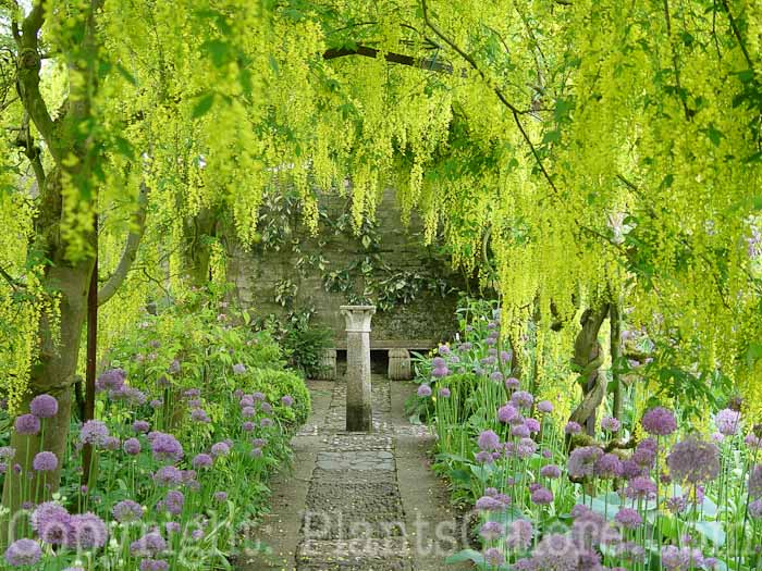 PGC-H-Structures-Arbor-25