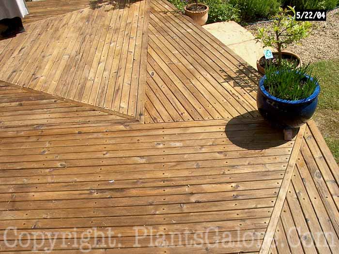 PGC-H-Structures-Deck-8