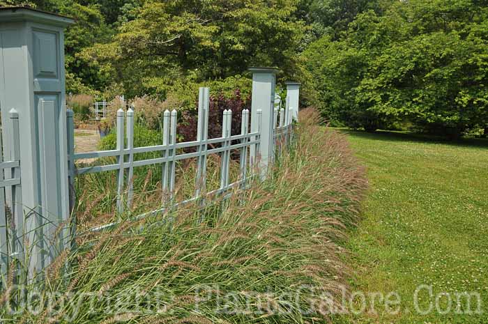 PGC-H-Structures-Fences-25