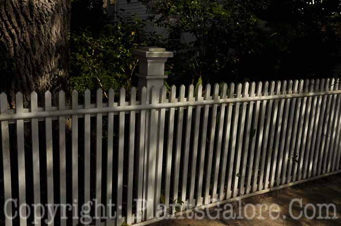 PGC-H-Structures-Fences-41