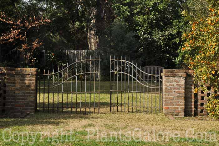 PGC-H-Structures-Fences-42