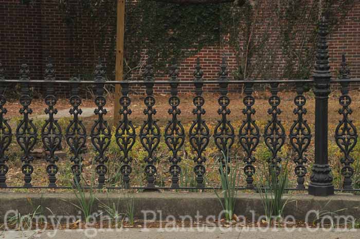 PGC-H-Structures-Fences-53