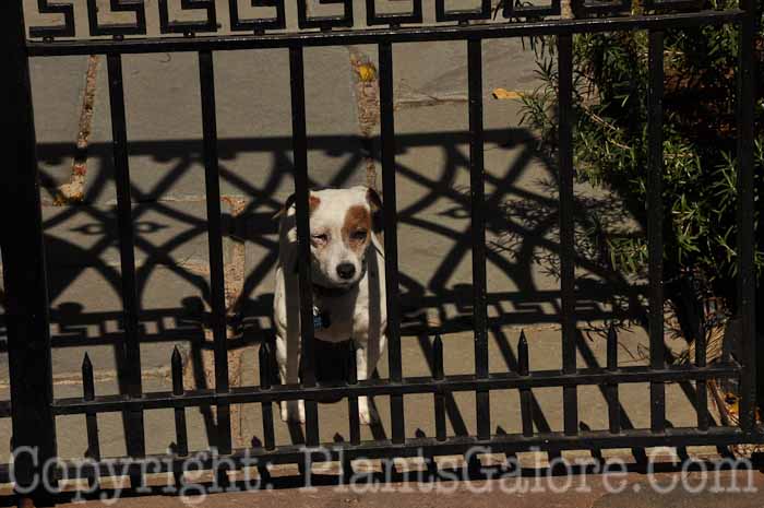 PGC-H-Structures-Fences-54