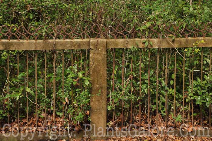 PGC-H-Structures-Fences-73