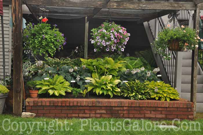 PGC-H-Structures-Raised-Beds-50