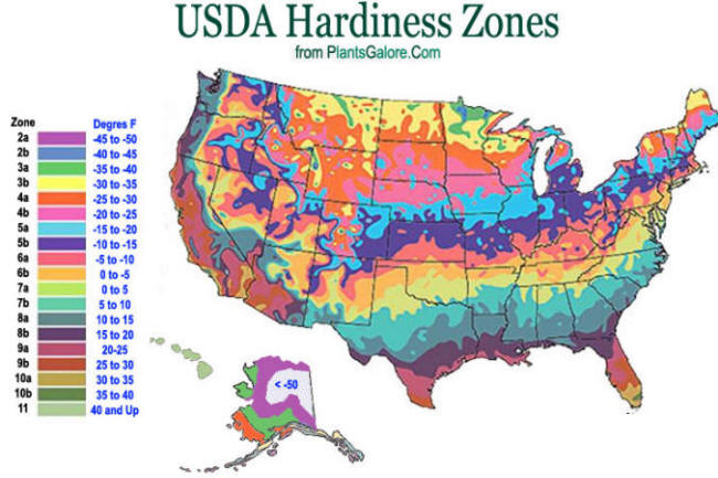 Science: USDA Hardiness Zone Map - Ornamental Plant Care Information